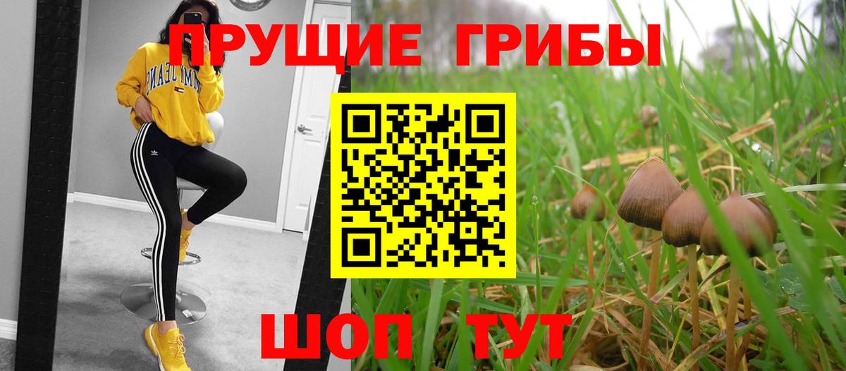 Псилоцибиновые грибы Psilocybine cubensis  Вход с VPN  Галлюциногенные грибы Psilocybe  Муравленко 